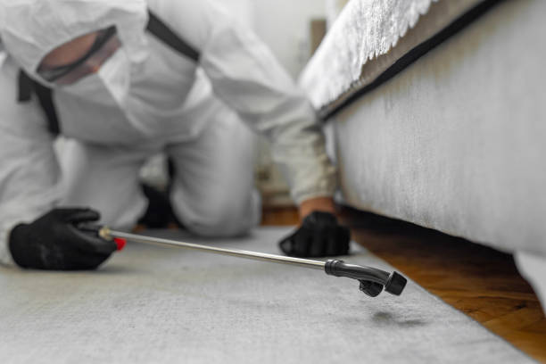 Professional Cockroach Control technician working in Chillicothe, IL