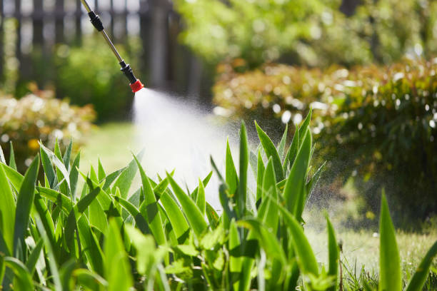 24/7 Emergency Cockroach Control experts in Chillicothe, IL