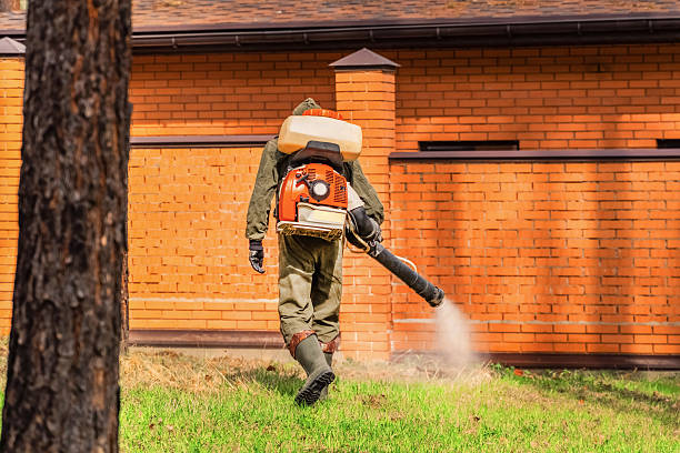 Top rated local Cockroach Control specialists in Chillicothe, IL